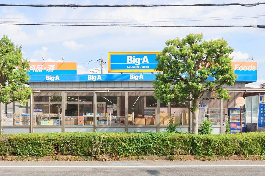 ビッグ・エー東所沢店