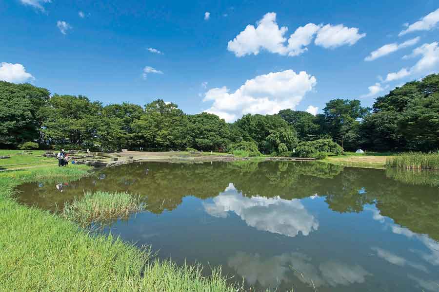 清瀬金山緑地公園