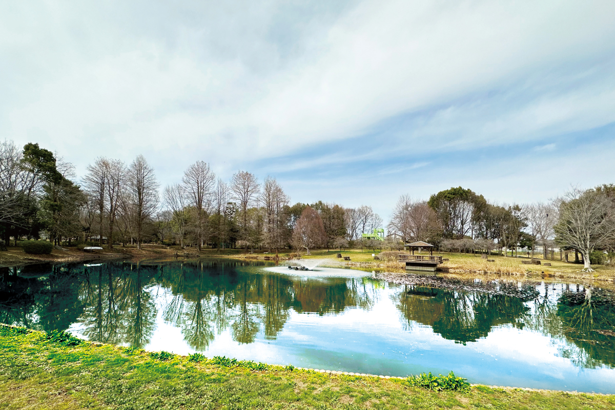 【城山公園】 【城山公園】
