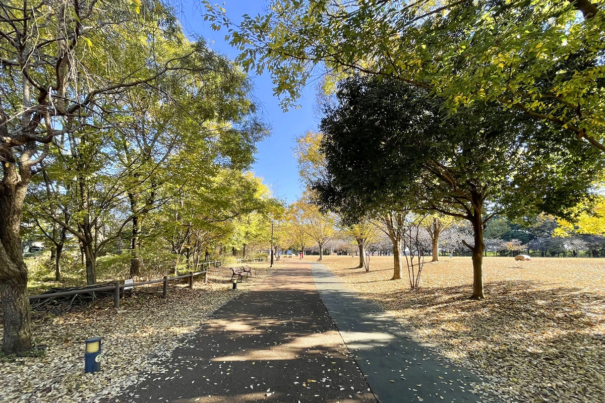 西東京いこいの森公園 西東京いこいの森公園