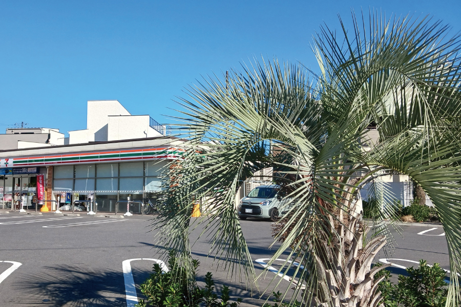 セブンイレブン柏豊四季団地前店