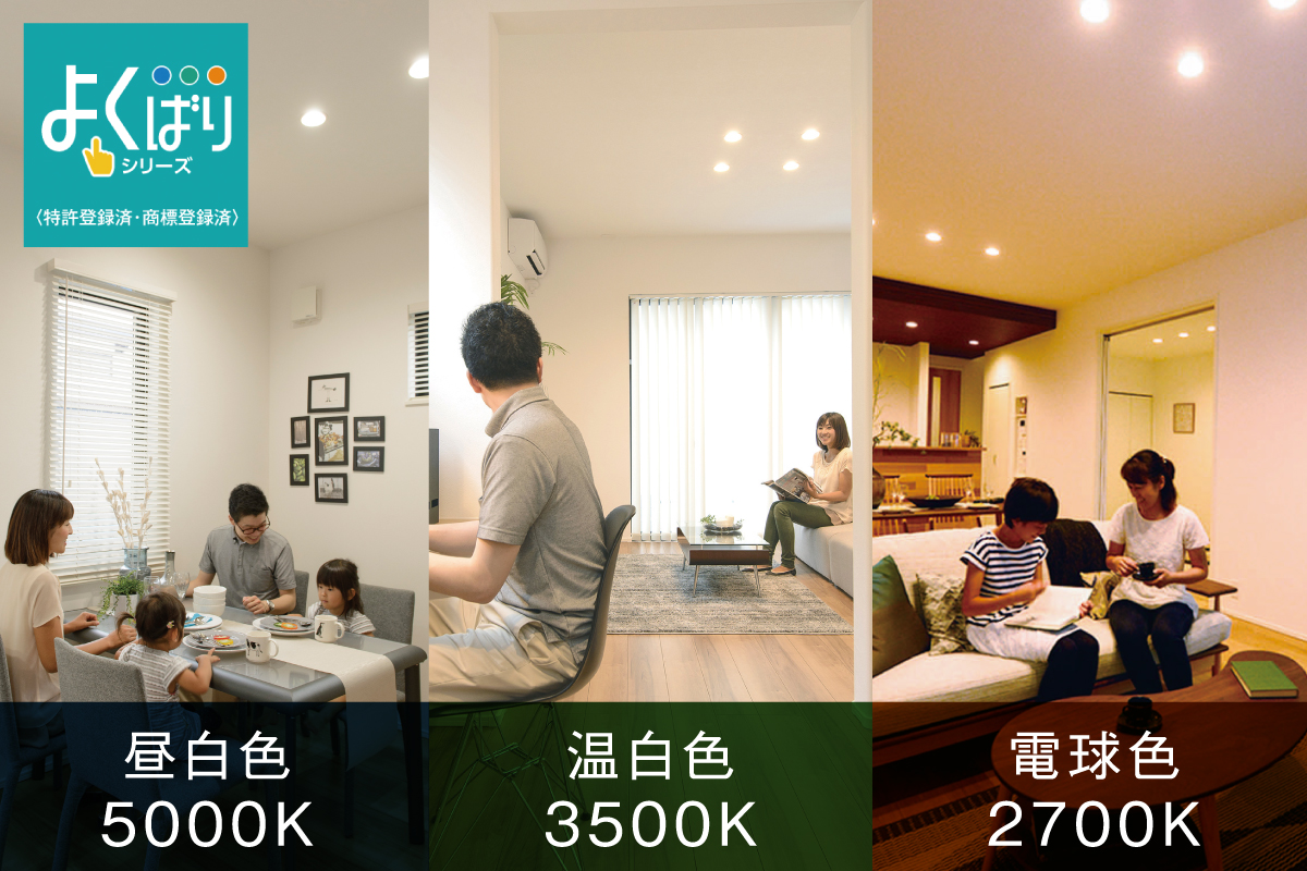 【ダウンライト(リビング)】 【ダウンライト(リビング)】