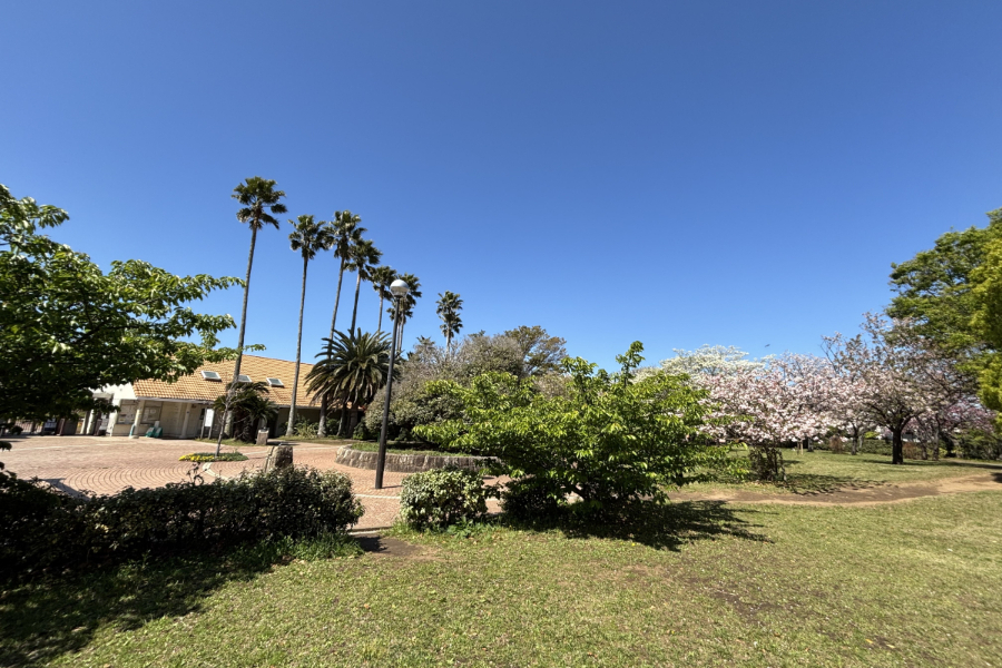 谷津バラ園 谷津バラ園