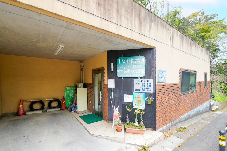 千葉動物病院