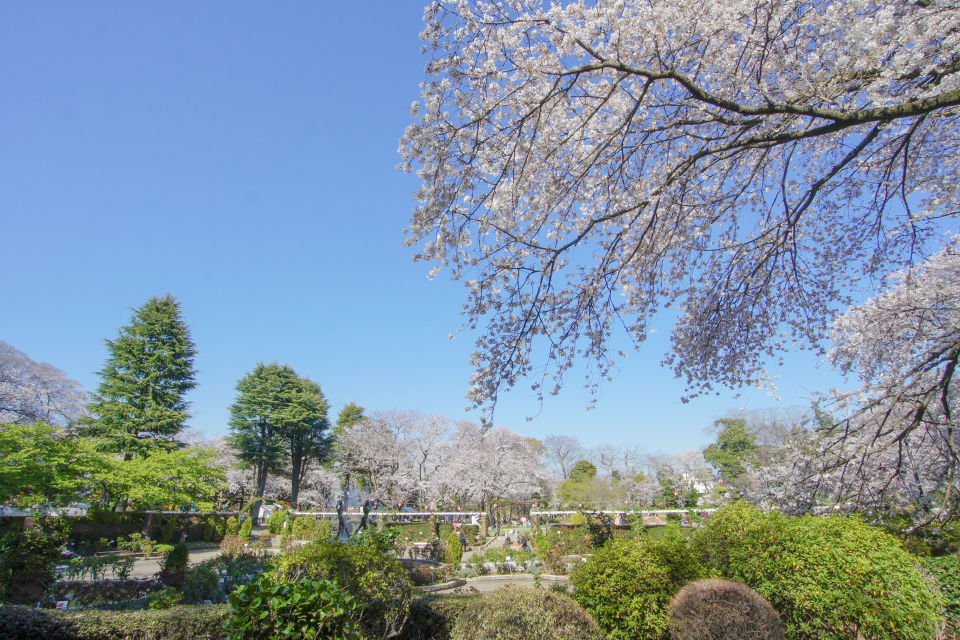 里見公園