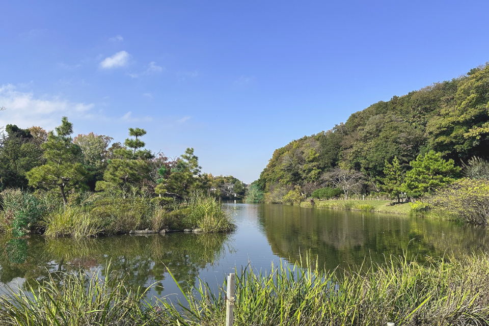 じゅん菜池緑地