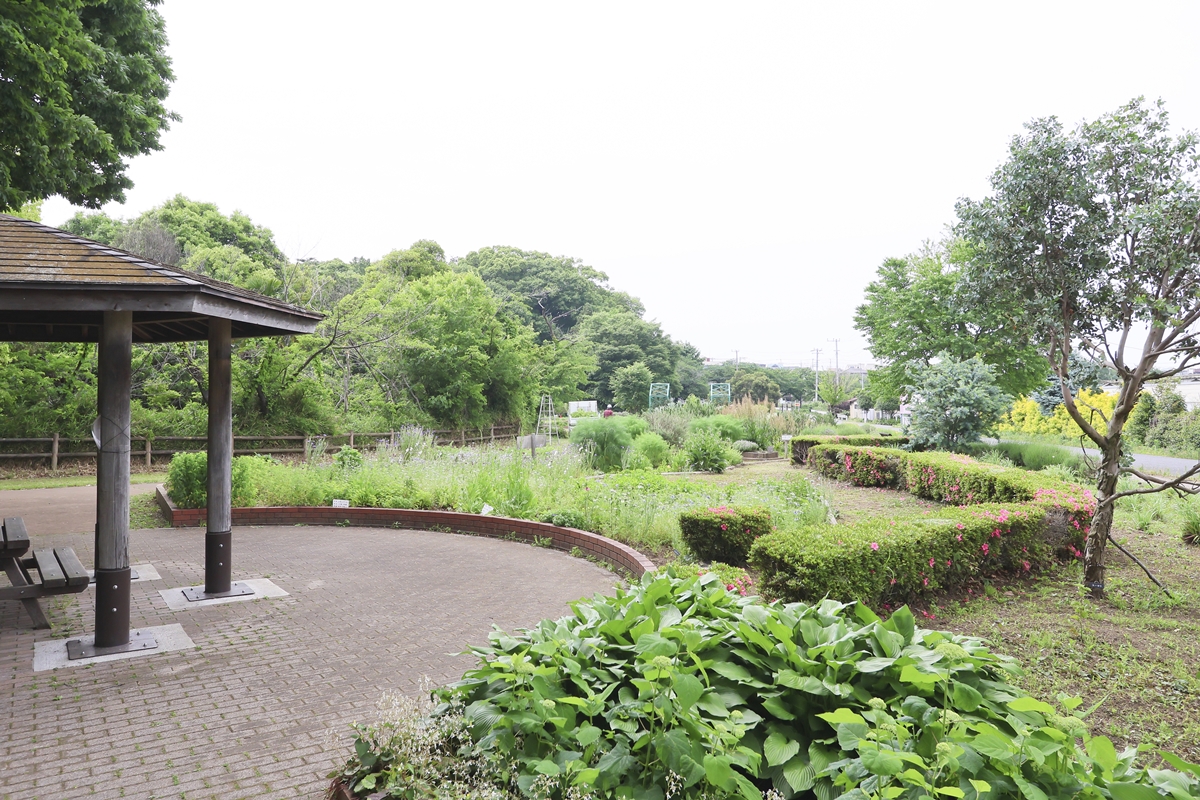 見沼氷川公園 見沼氷川公園