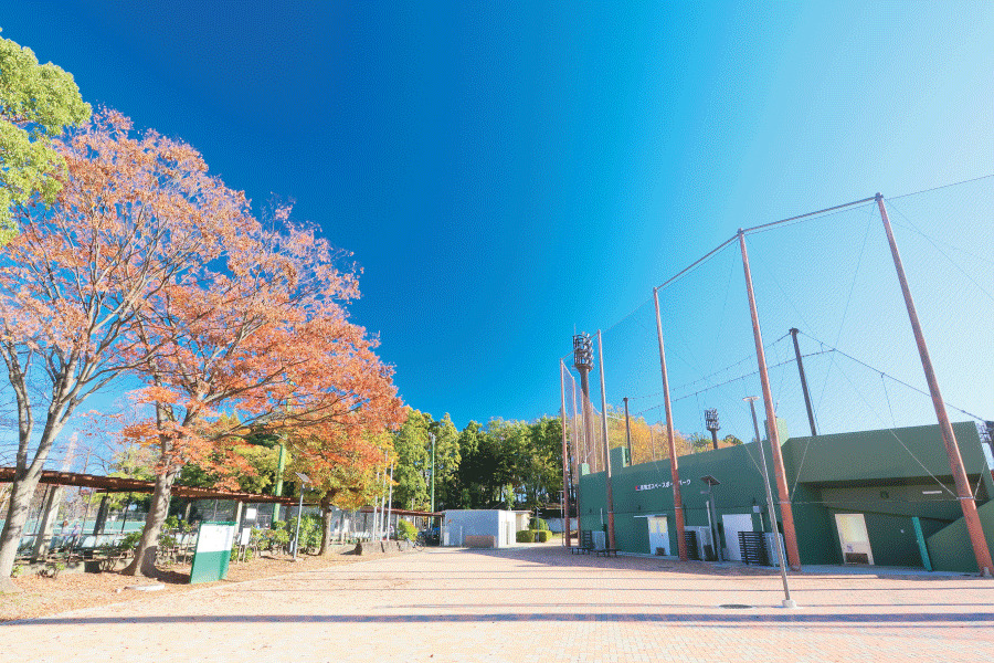 流山市総合運動公園