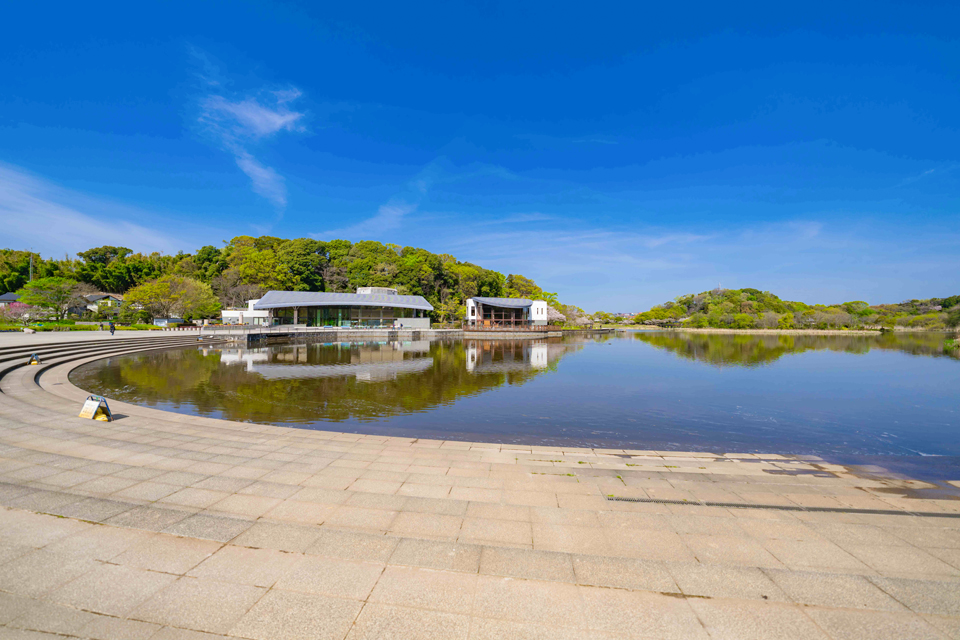 21世紀の森と広場（車14分）