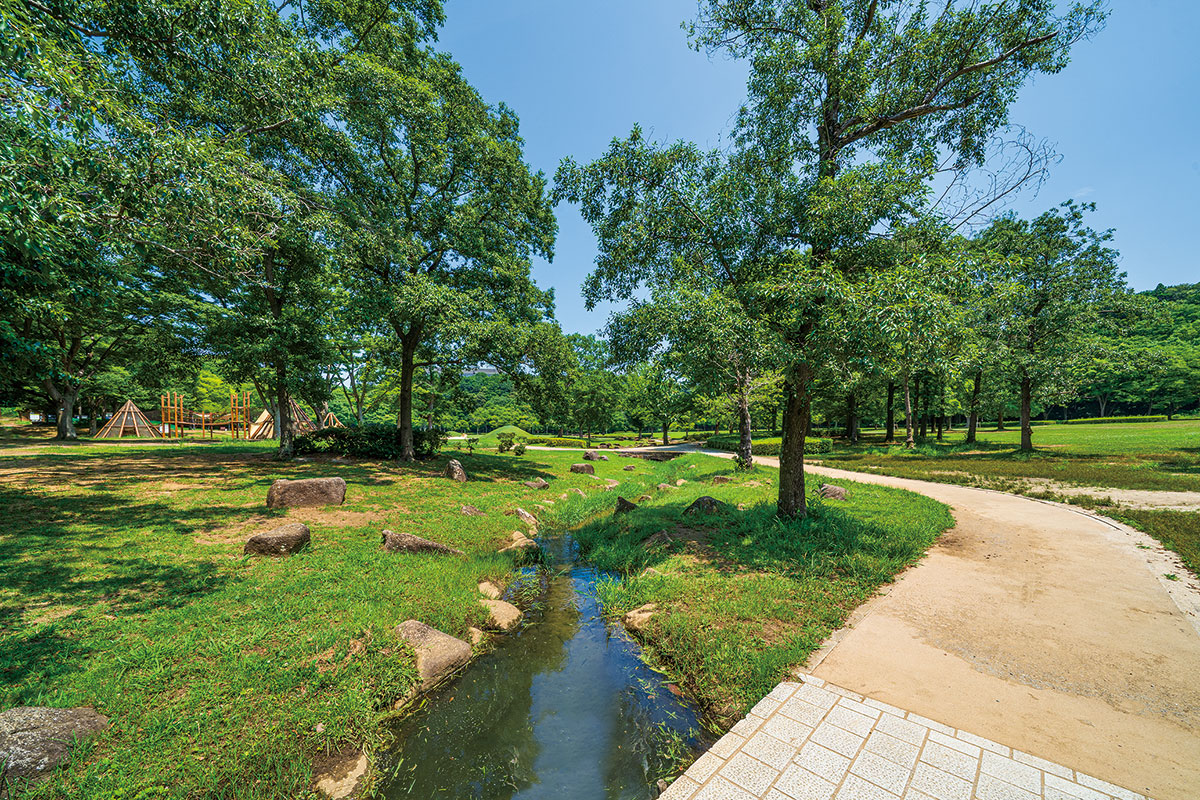 21世紀の森と広場 21世紀の森と広場