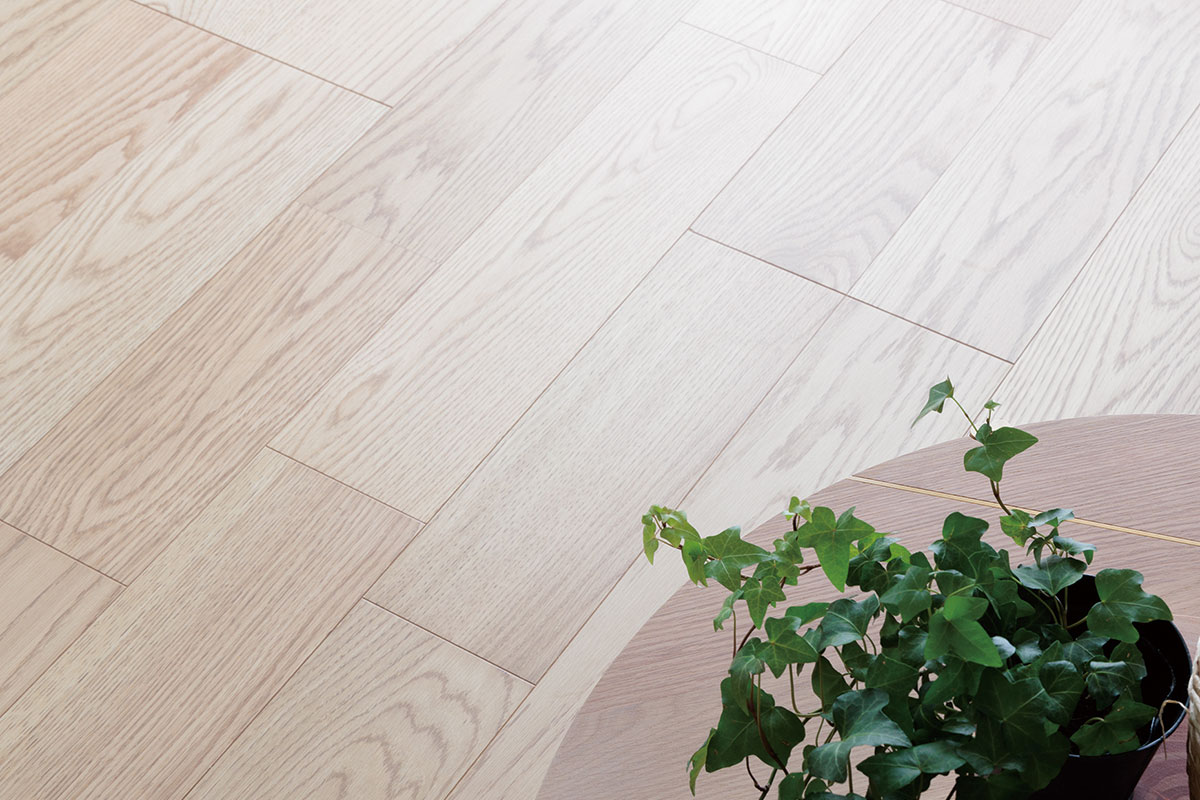 【銘樹モクトーン】 【銘樹モクトーン】