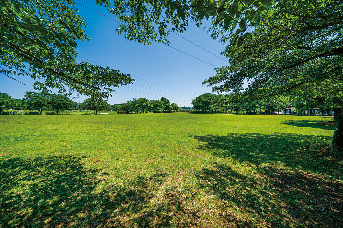 柏ふるさと公園