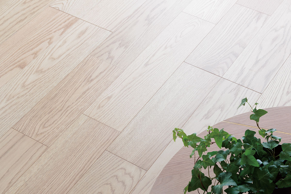 【銘樹モクトーンフロア(1F)】 【銘樹モクトーンフロア(1F)】