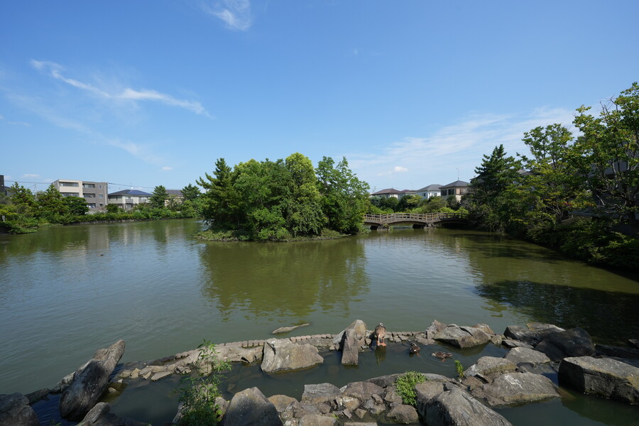 大池親水公園 大池親水公園