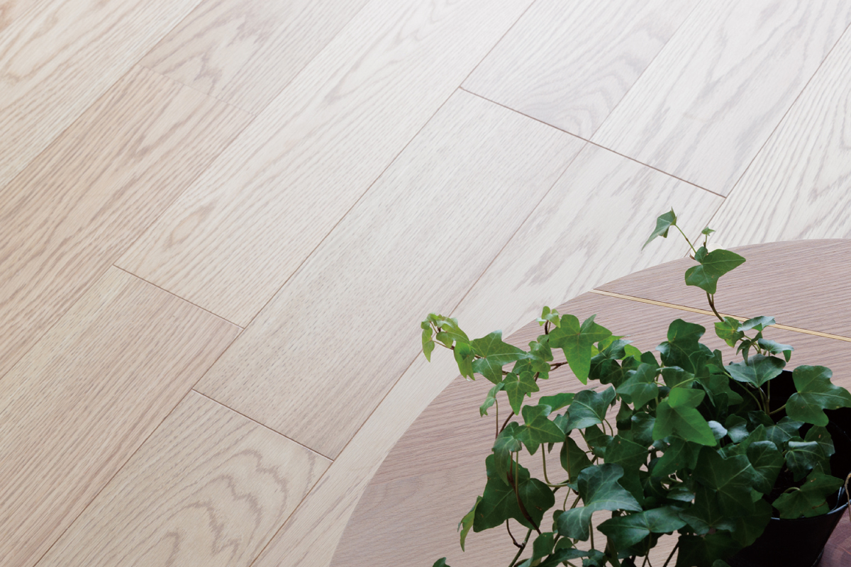 【銘樹モクトーン】