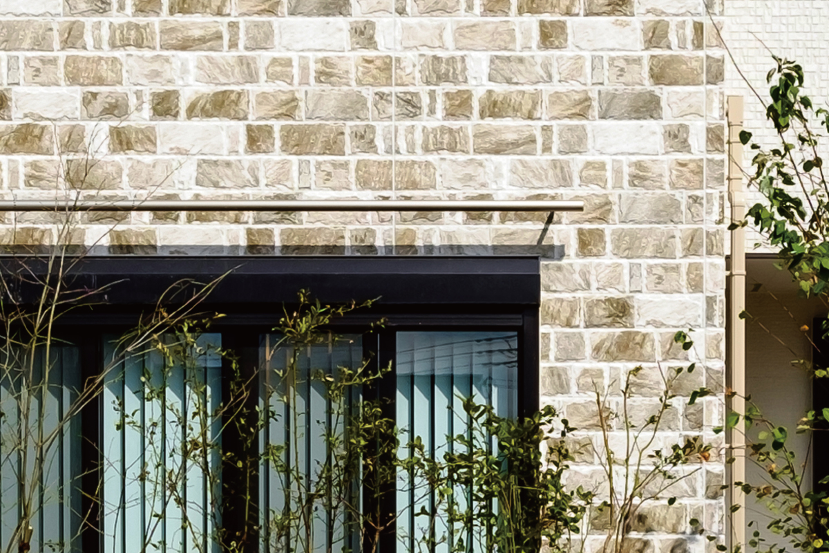 【緑のカーテン】