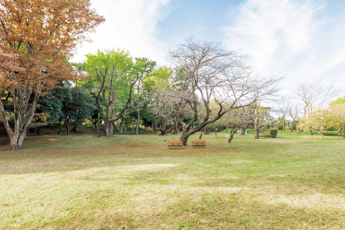 千葉公園(西口)