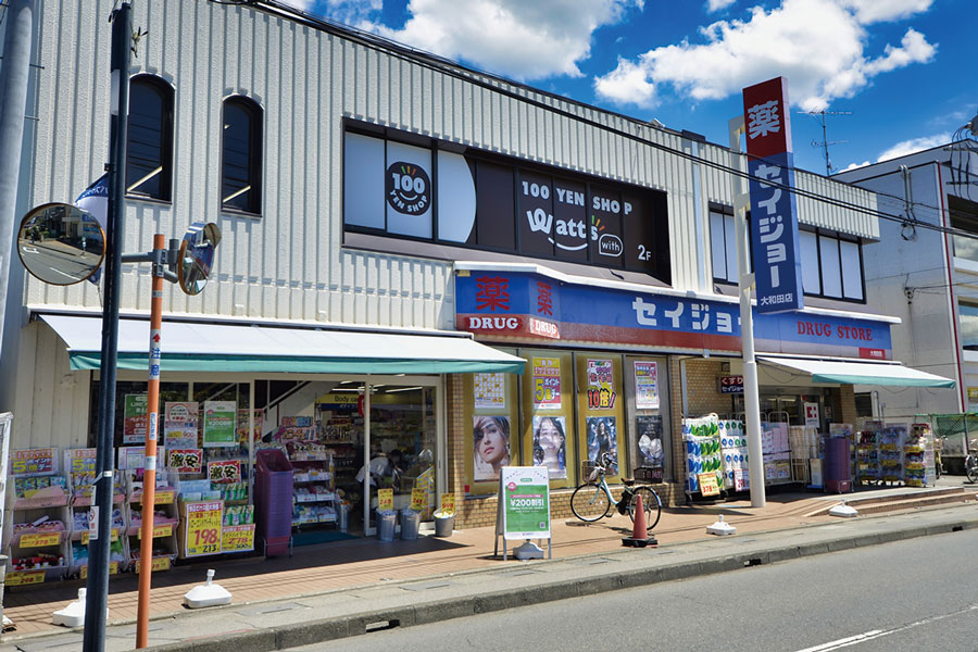 ココカラファインくすりセイジョー大和田店