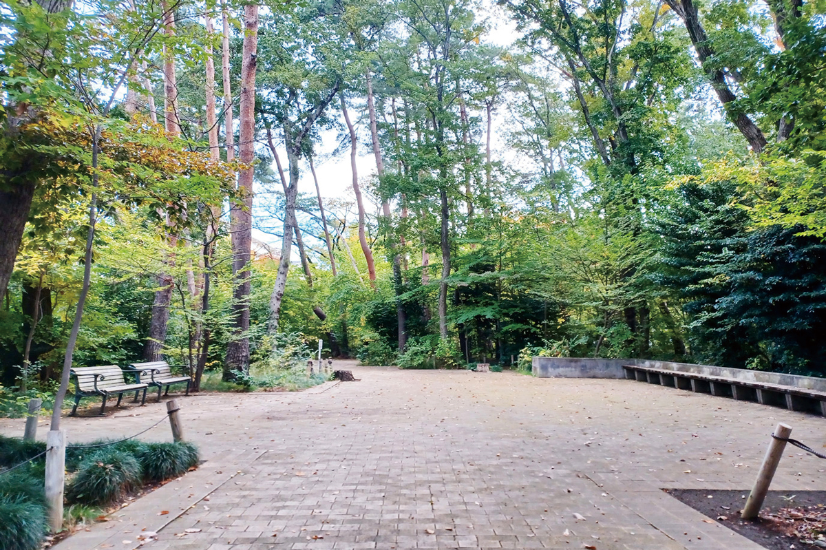 緑町中央公園