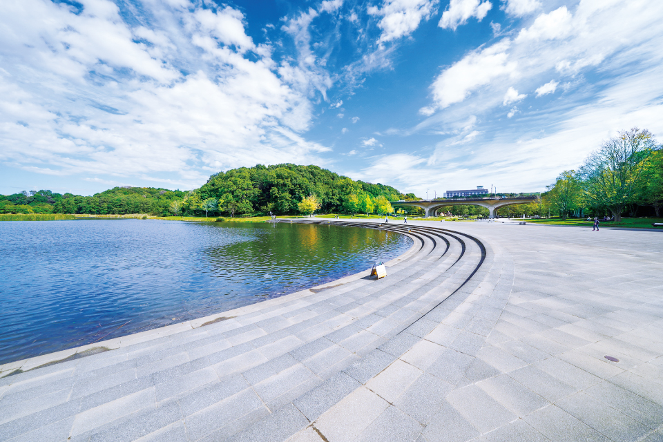 21世紀の森と広場