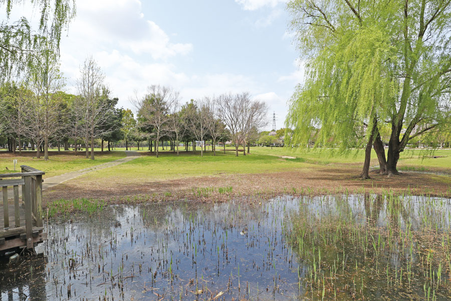 大宮第三公園 大宮第三公園