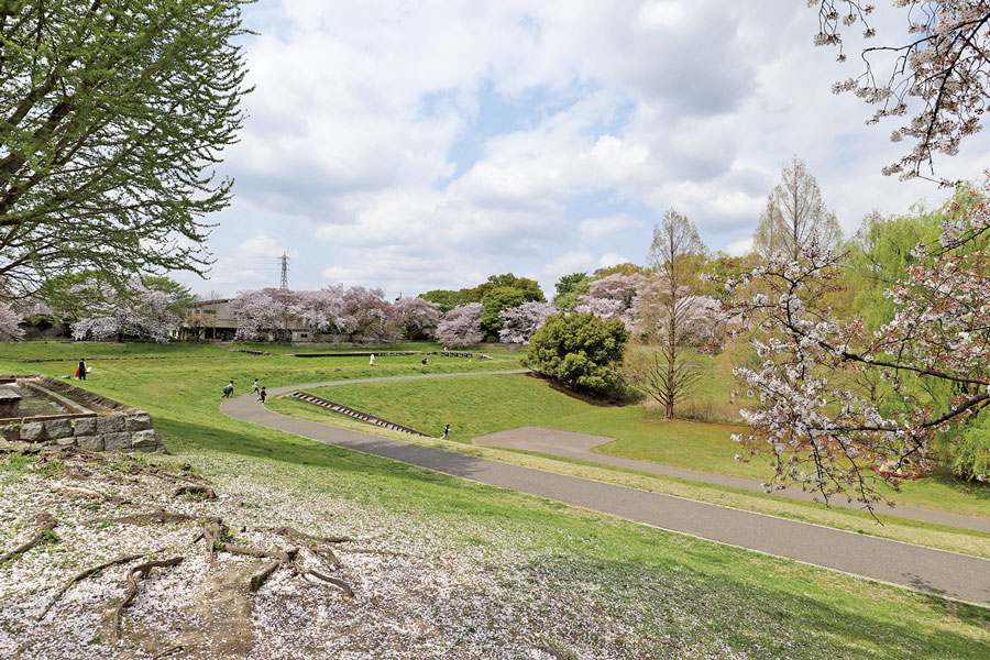 大宮第二公園 大宮第二公園
