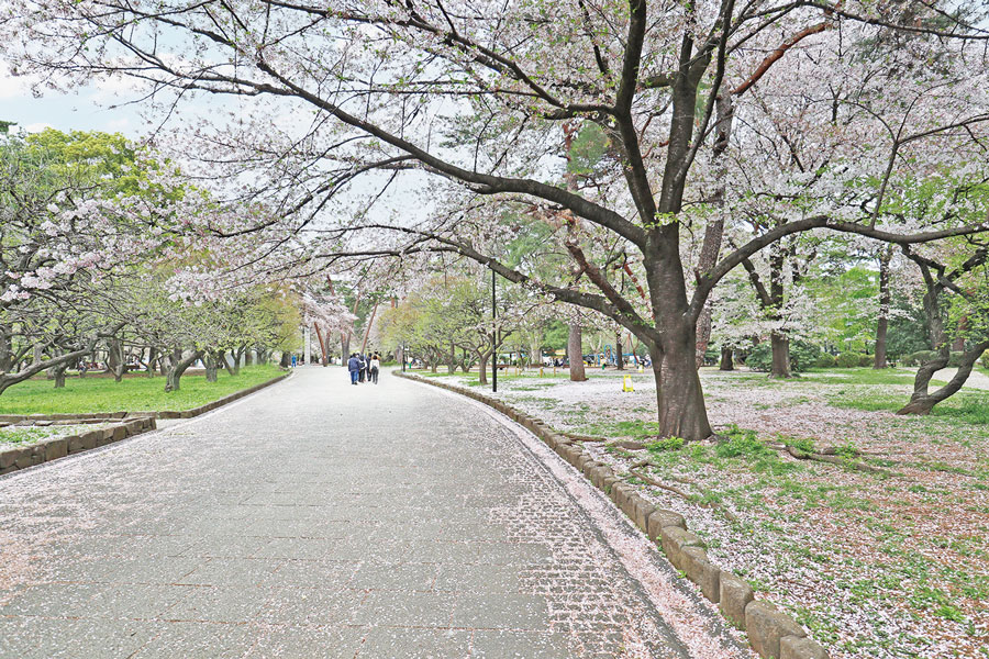 大宮公園 大宮公園