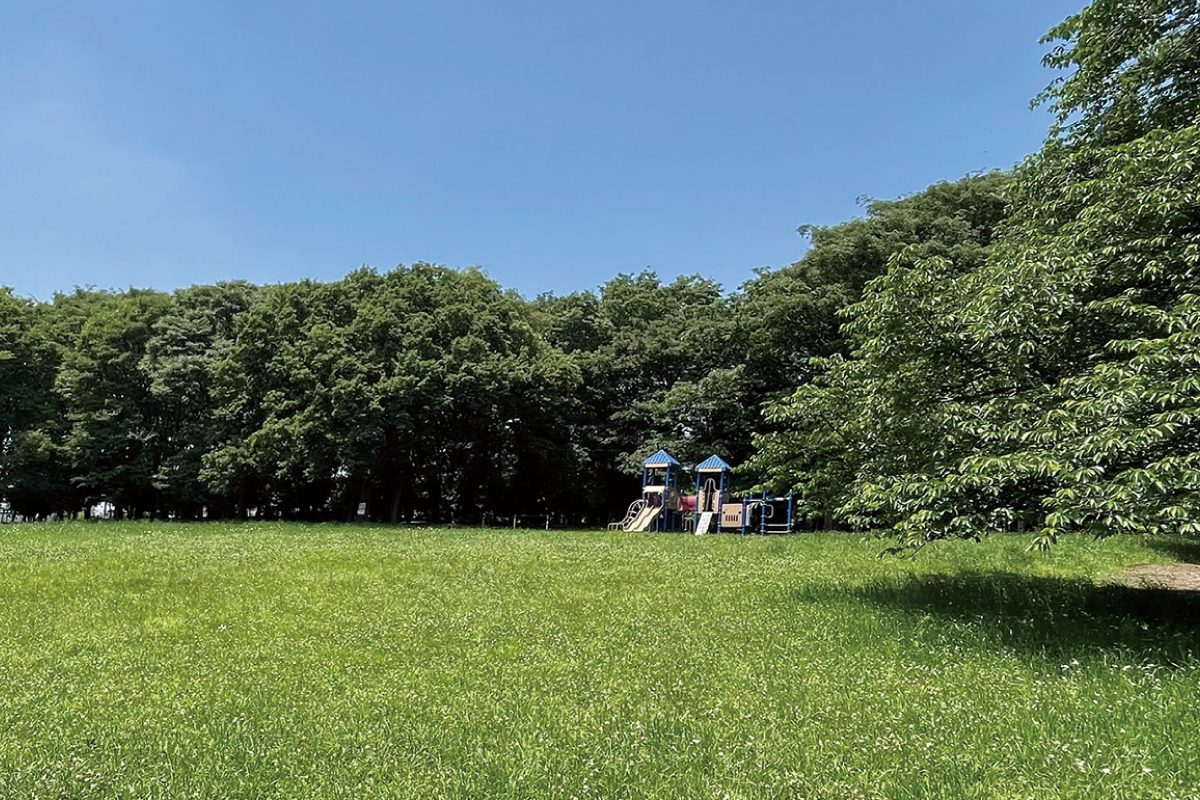 柏ビレジ近隣公園