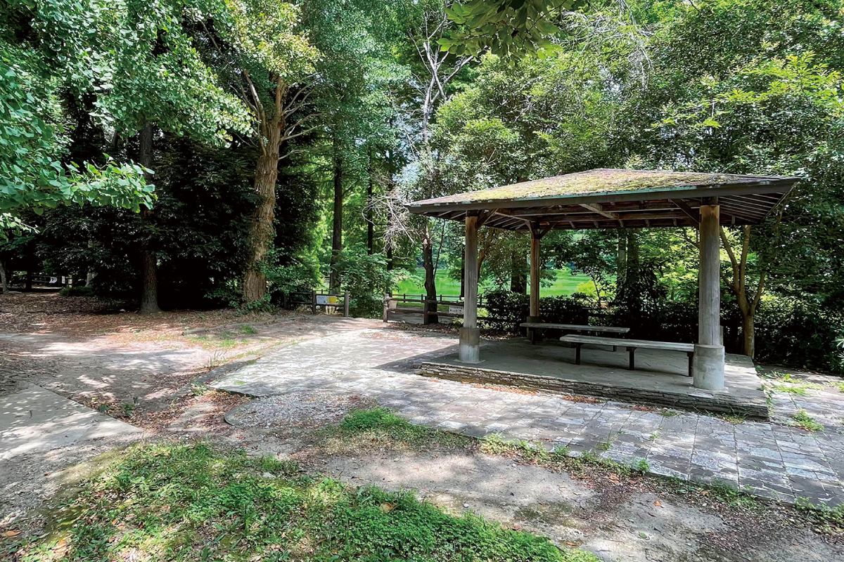 柏ビレジ水辺公園