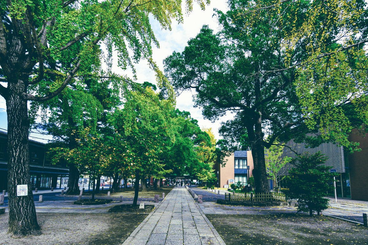 葛飾八幡宮 葛飾八幡宮