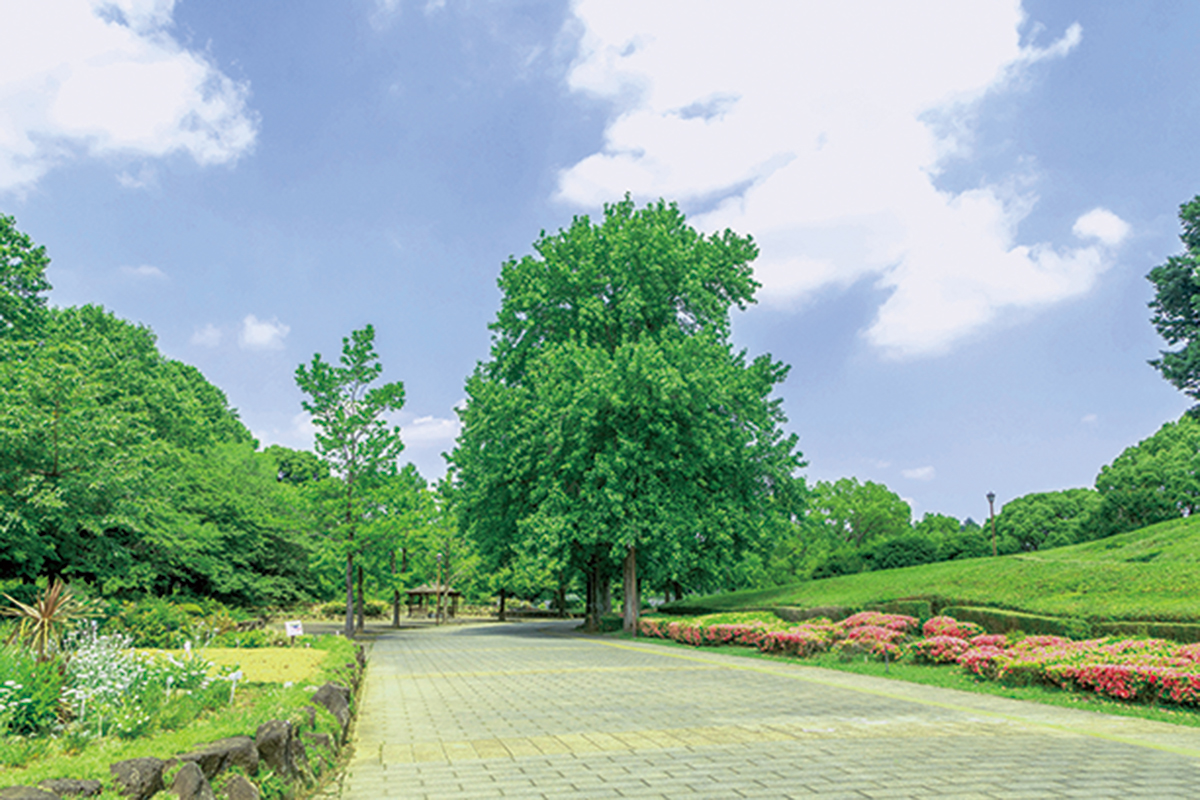 千葉県立柏の葉公園 千葉県立柏の葉公園