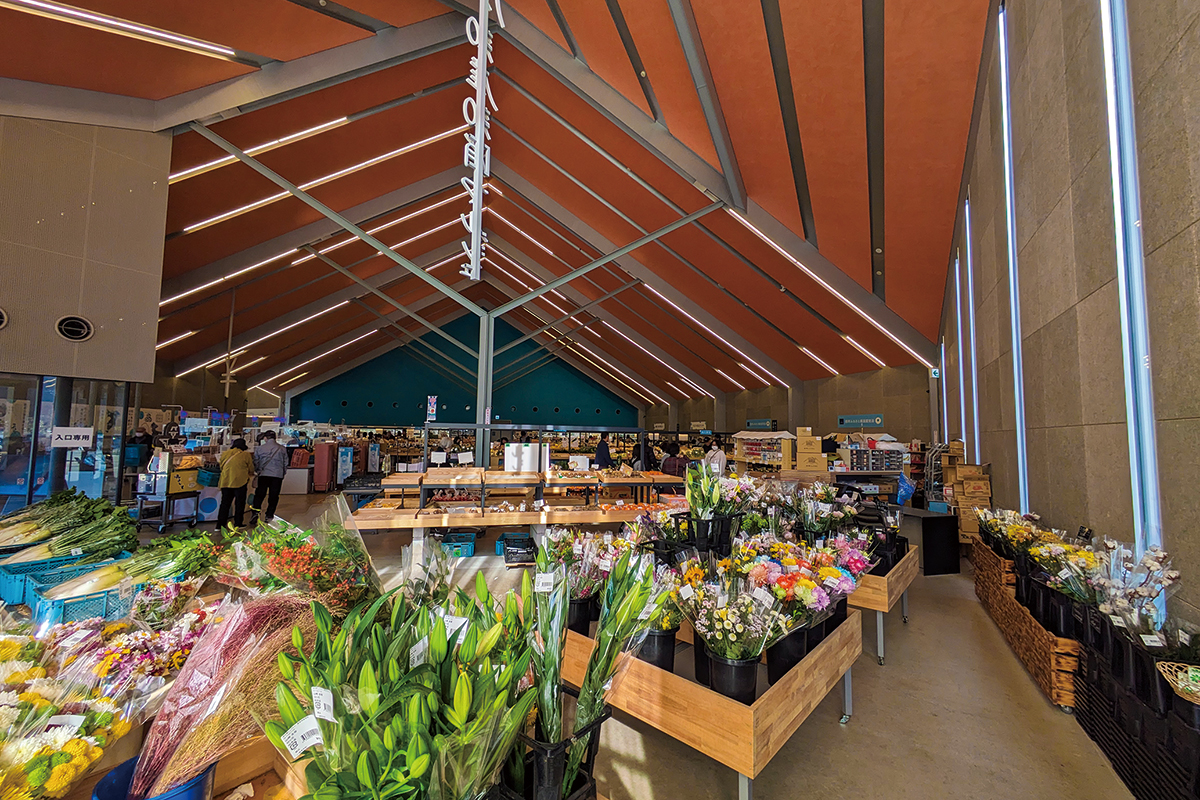 道の駅しょうなん