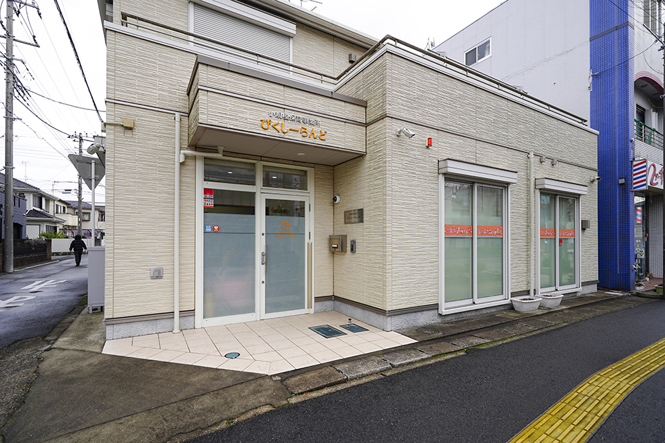 ぴくしーらんど