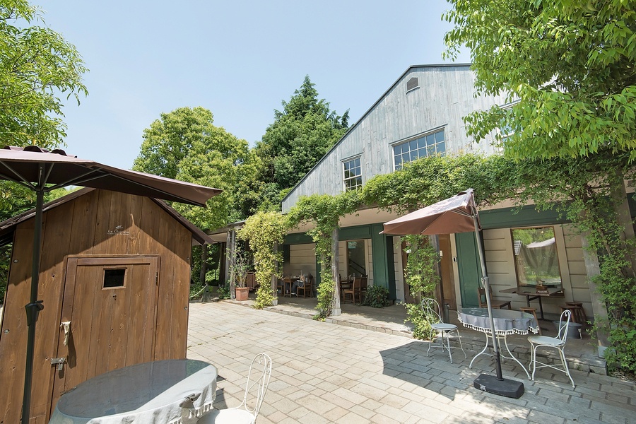 三橋の森保育園 三橋の森保育園