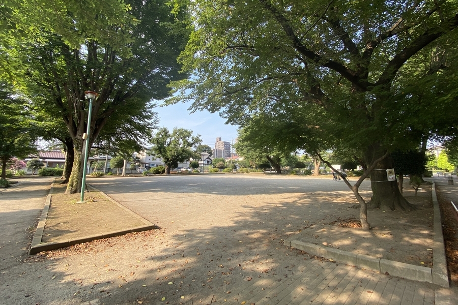 並木公園 並木公園