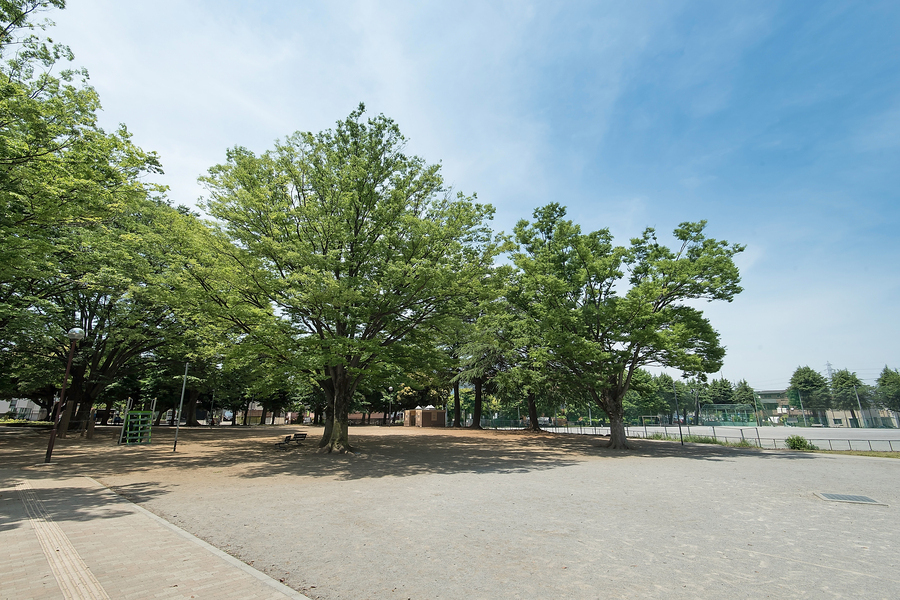 大平公園 大平公園