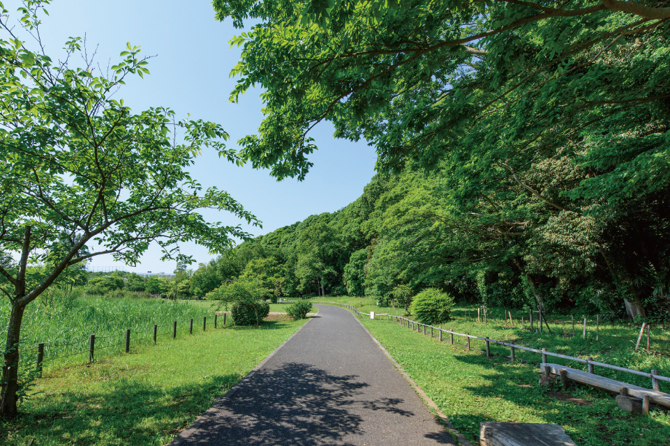 増尾城址総合公園