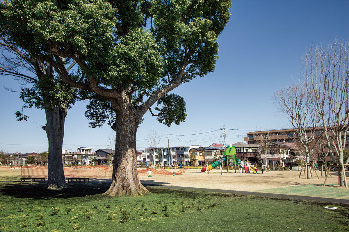 三室中央公園ヌゥパーク