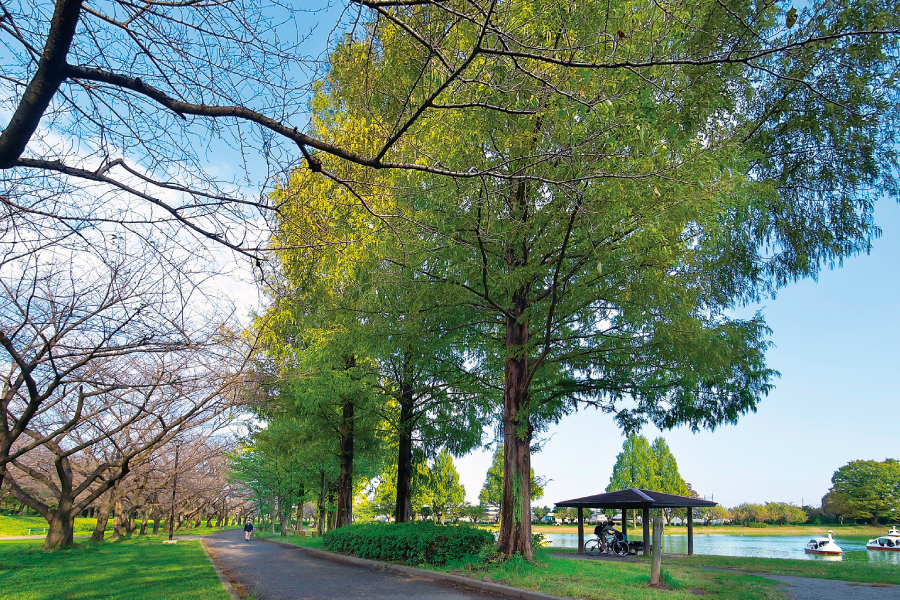 ホットスタッフ川越パーク(川越公園) ホットスタッフ川越パーク(川越公園)