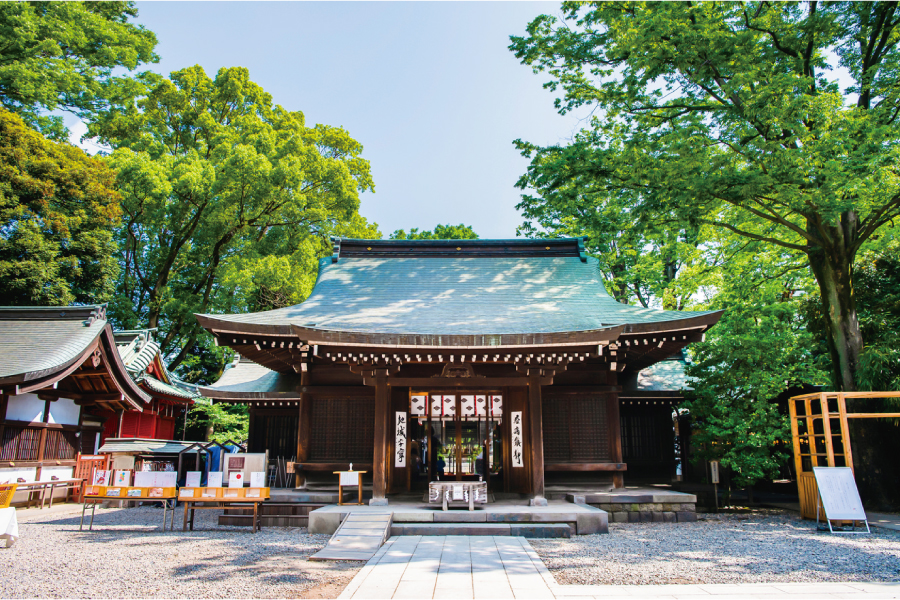 川越市氷川神社 川越市氷川神社