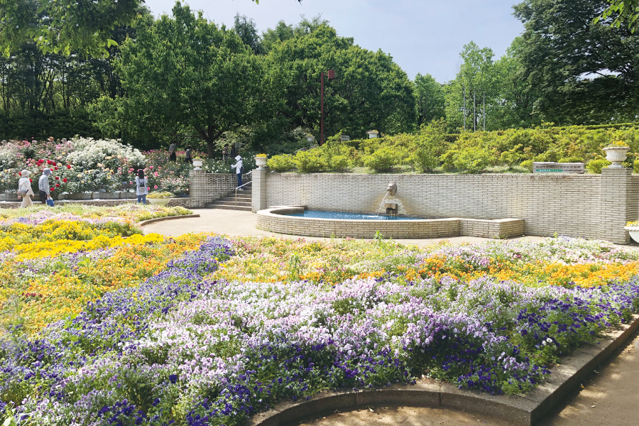 智光山公園 智光山公園