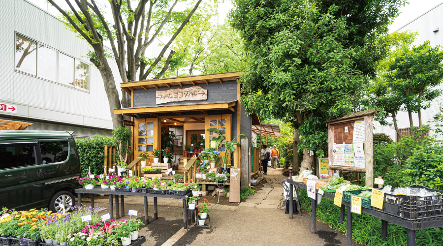 【ファームヨコタ cafe】 【ファームヨコタ cafe】