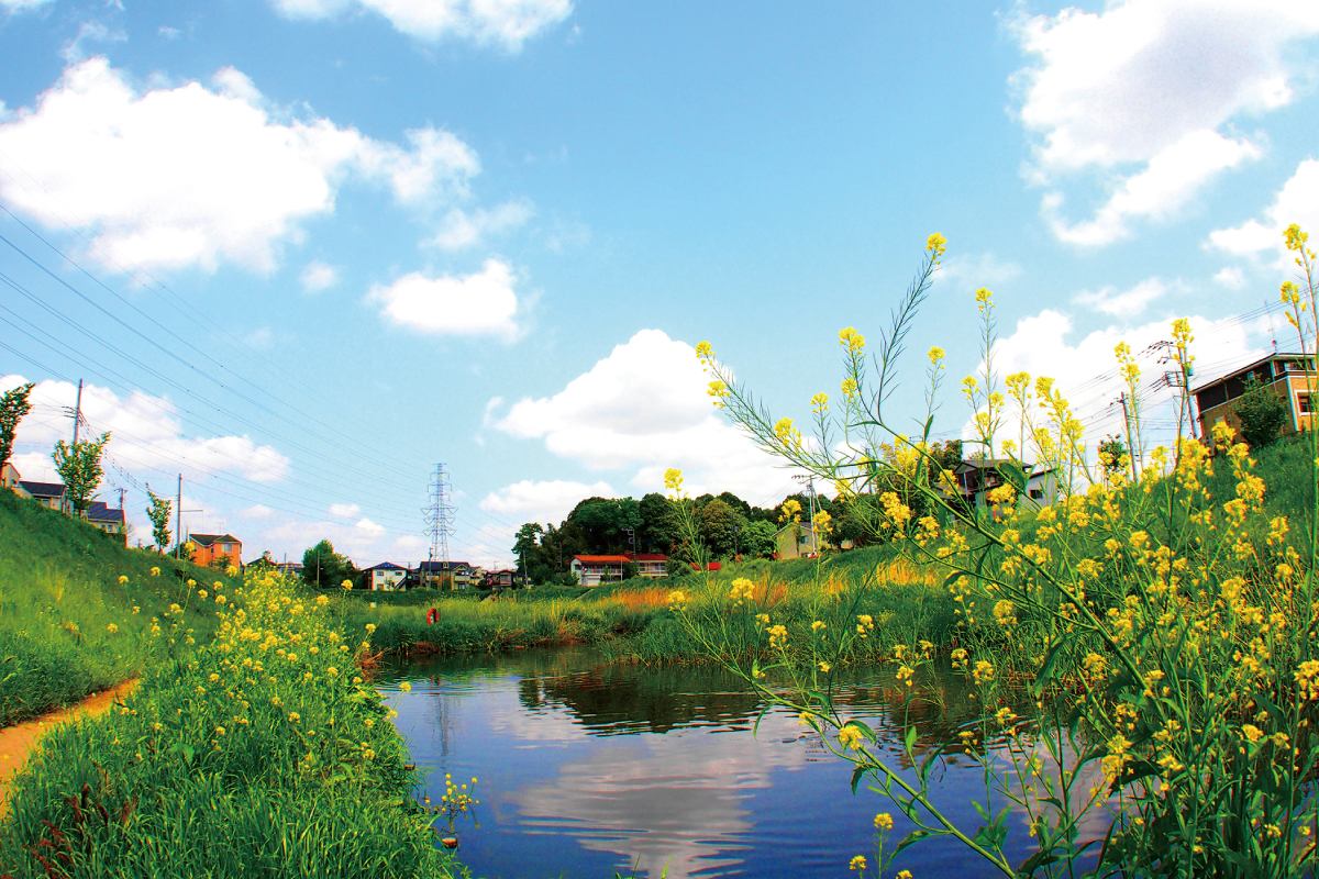 大堀川水辺公園 大堀川水辺公園