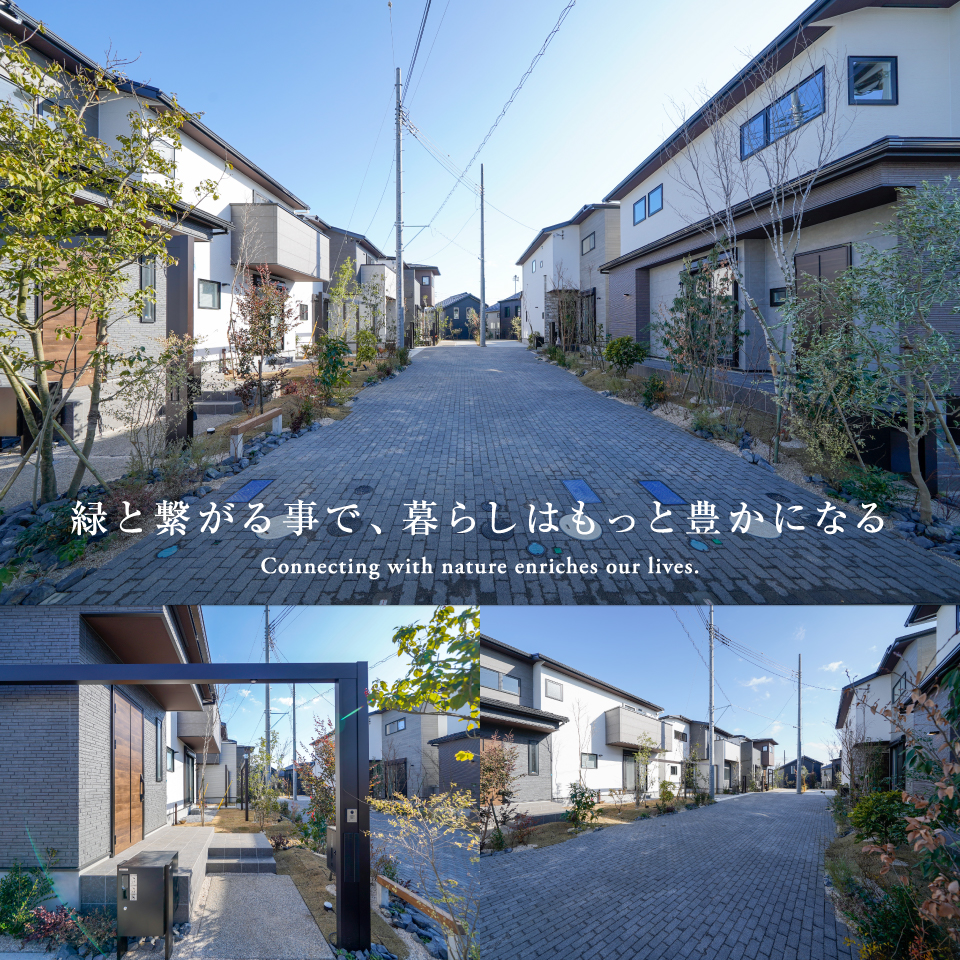 ※2025年12月撮影