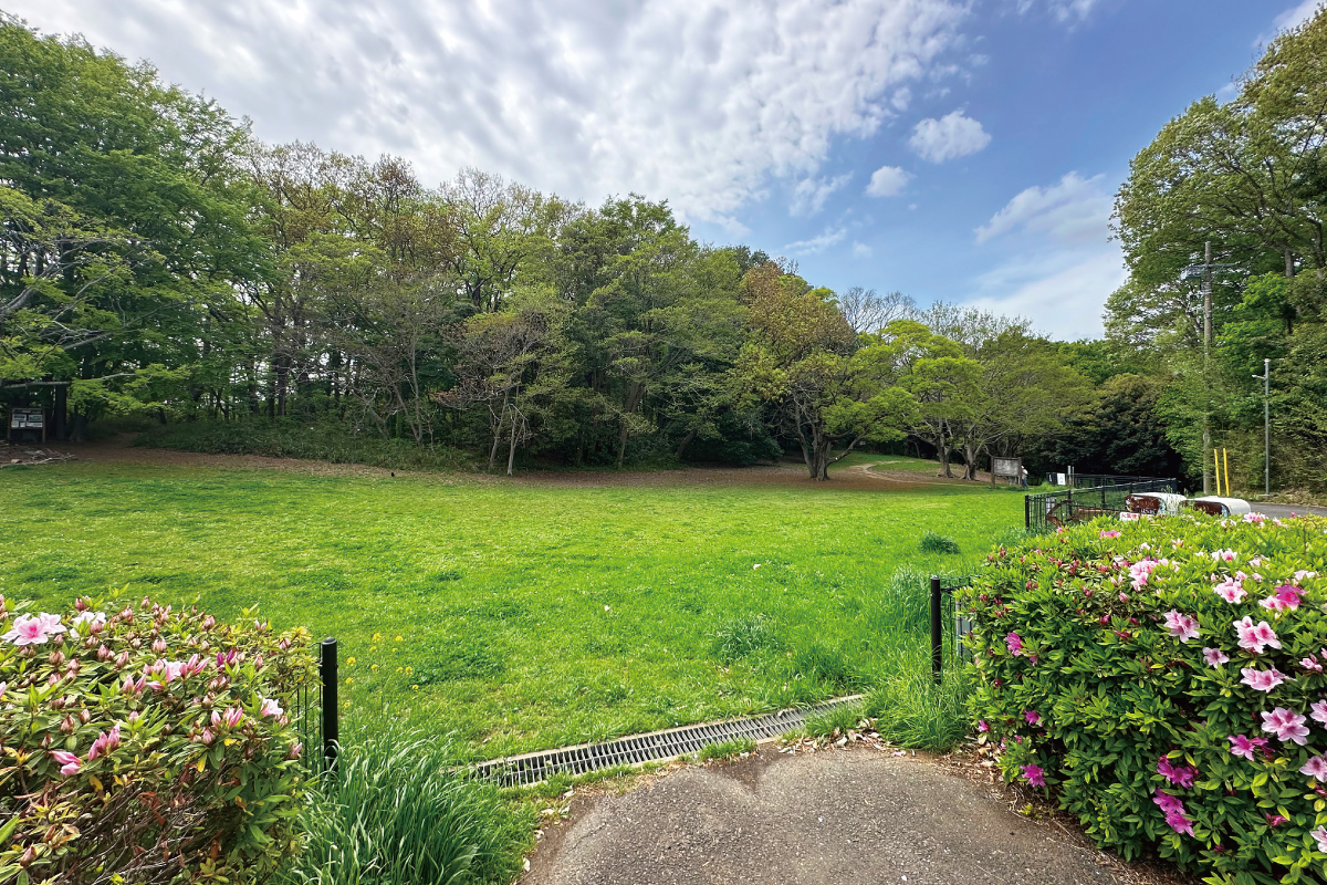 堀之内貝塚公園