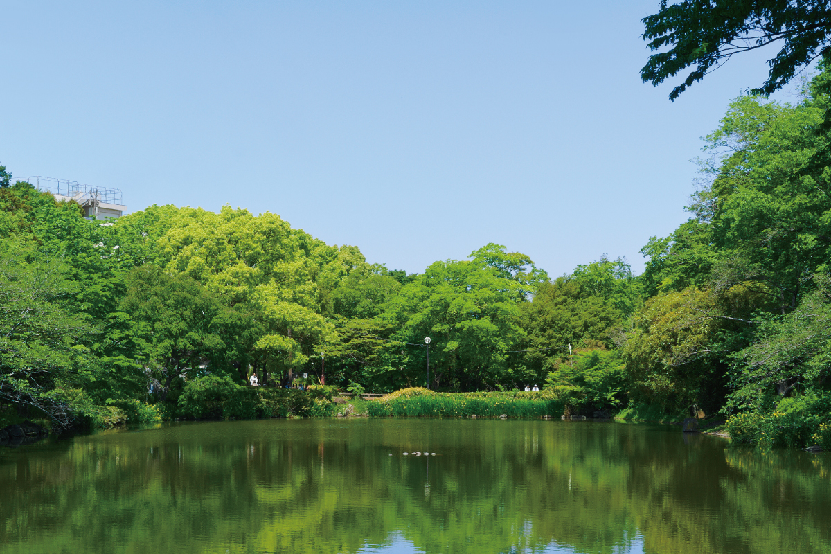 じゅん菜池緑地
