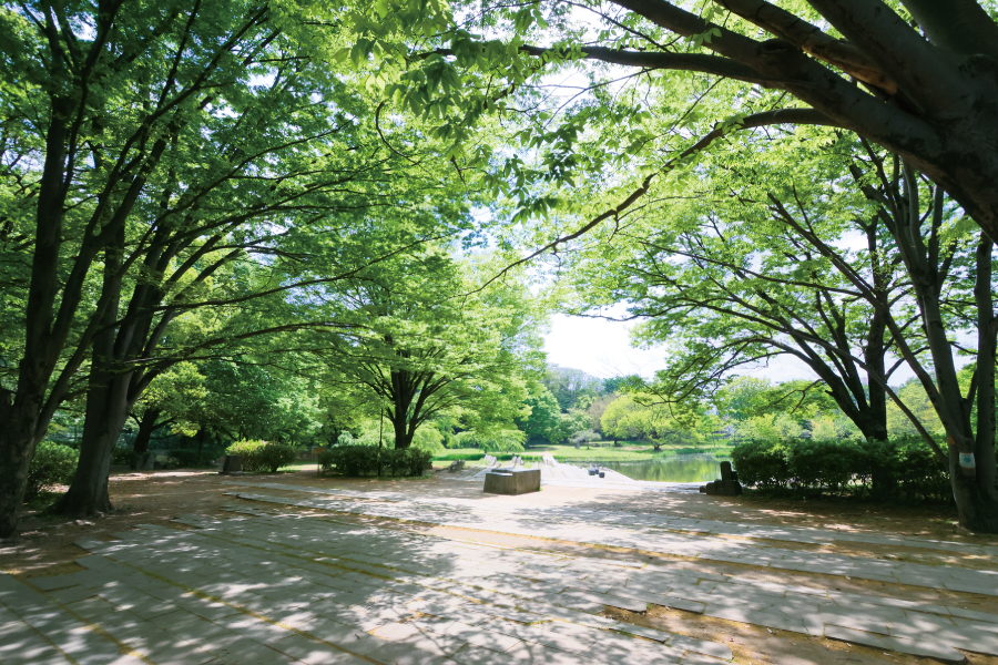 清瀬金山緑地公園