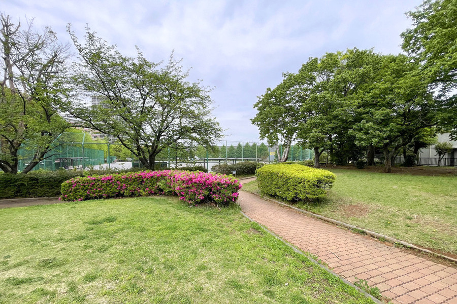 スポーツの杜公園