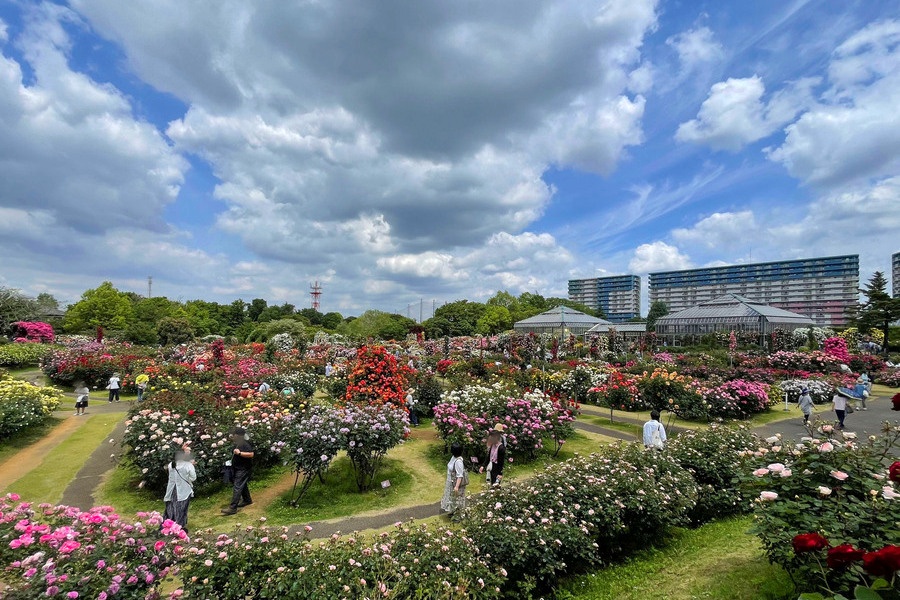 京成バラ園