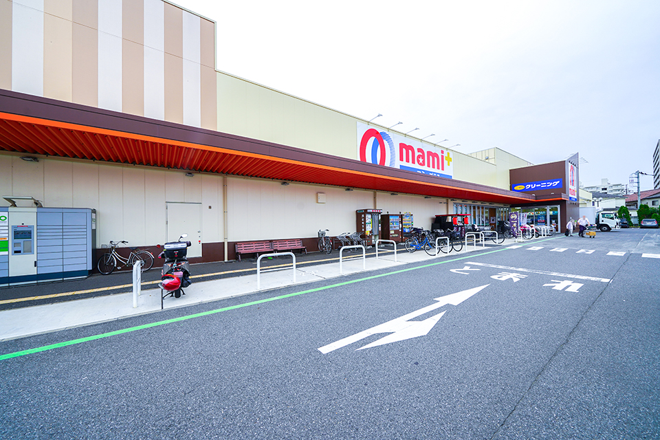 マミープラス柏根戸店 マミープラス柏根戸店